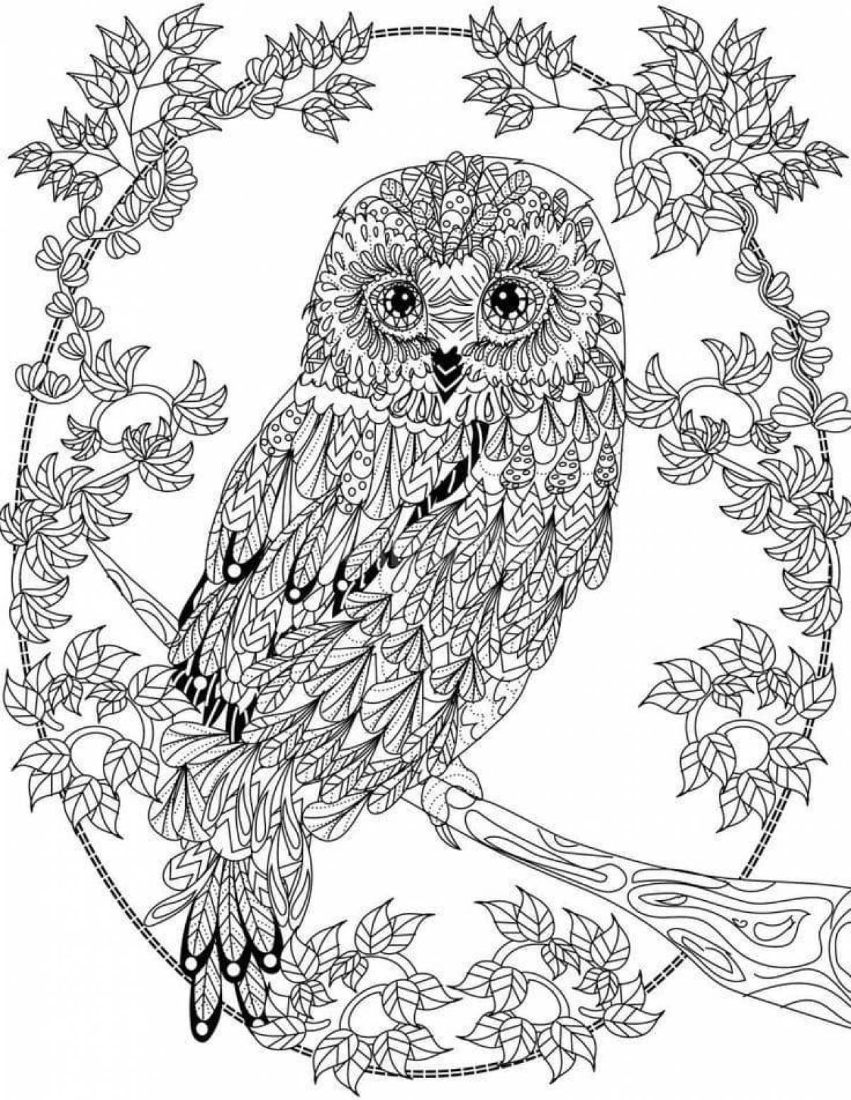 Elegant coloring owl antistress