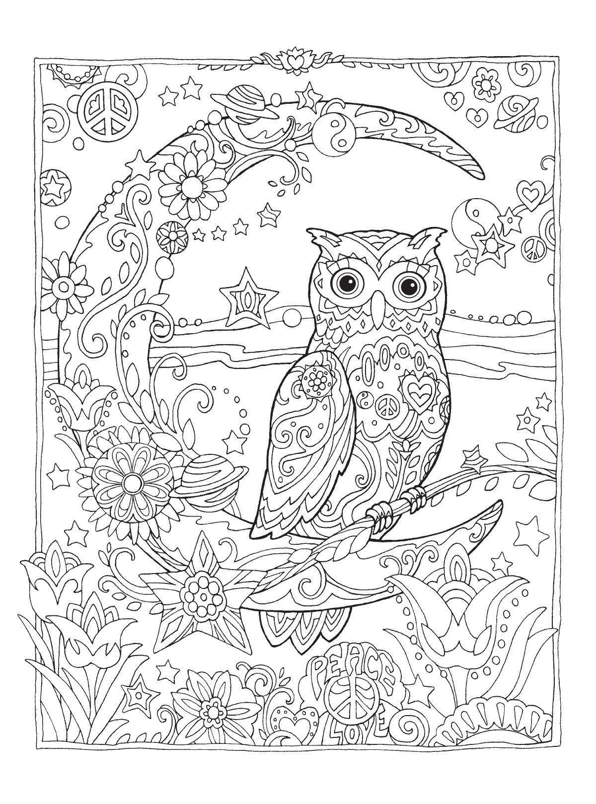 Complex coloring owl antistress