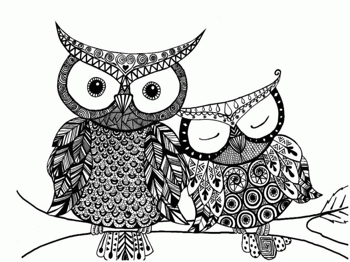 Rich coloring owl antistress