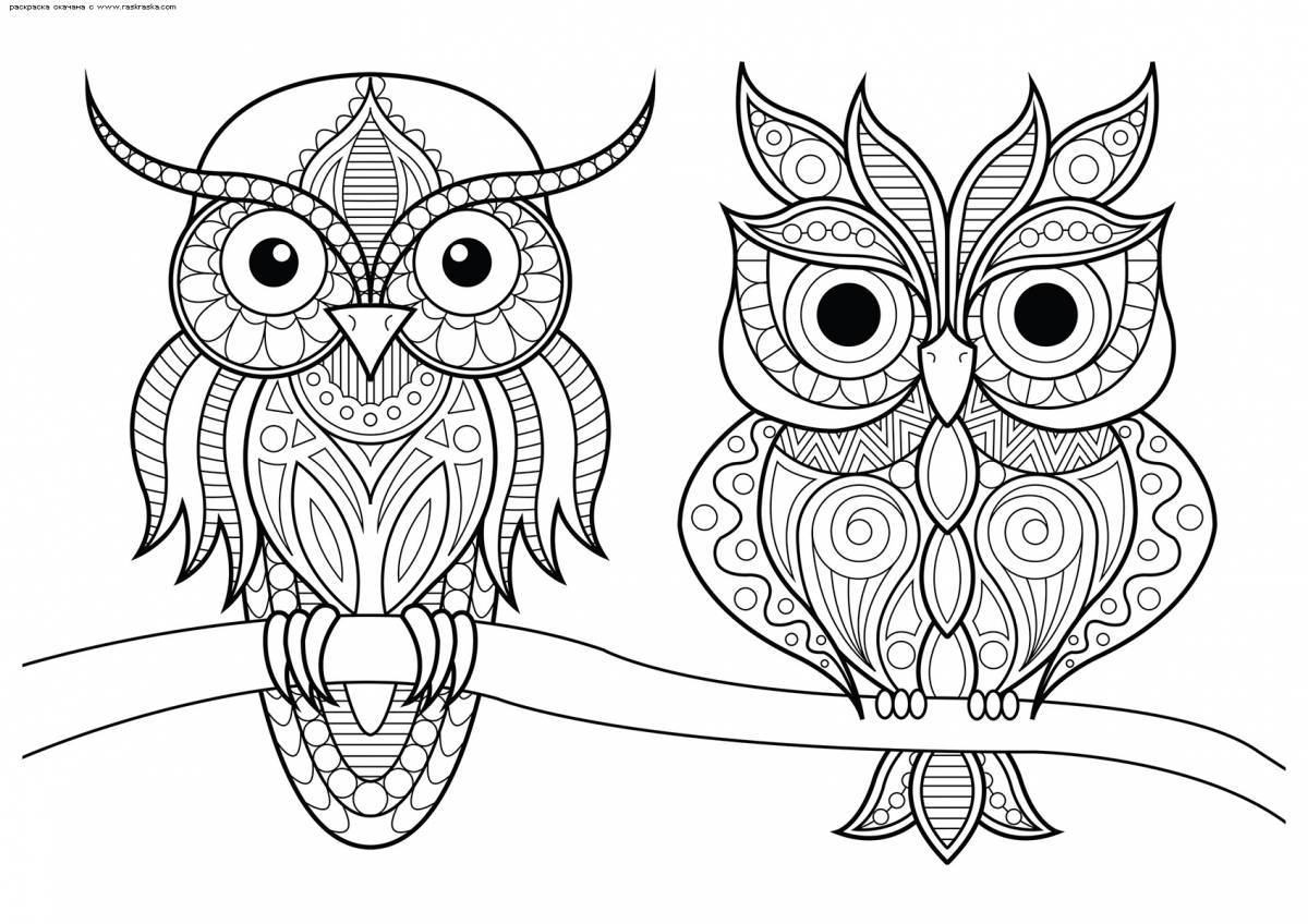Unusual coloring owl antistress