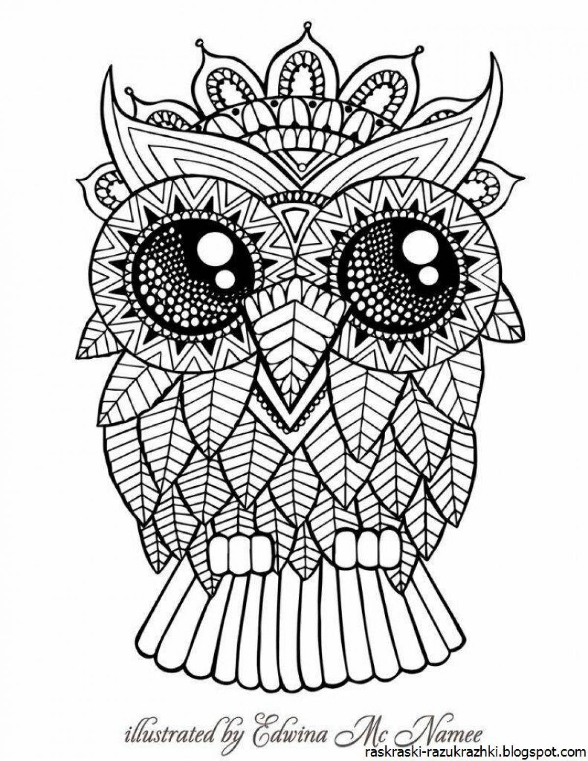Attractive coloring owl antistress