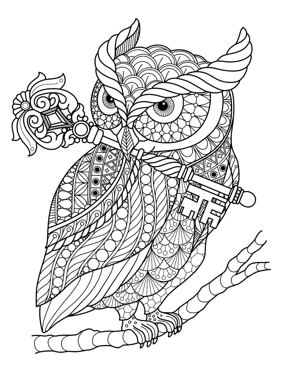 Owl antistress #4