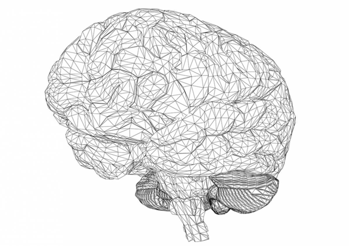 Мозг Графика