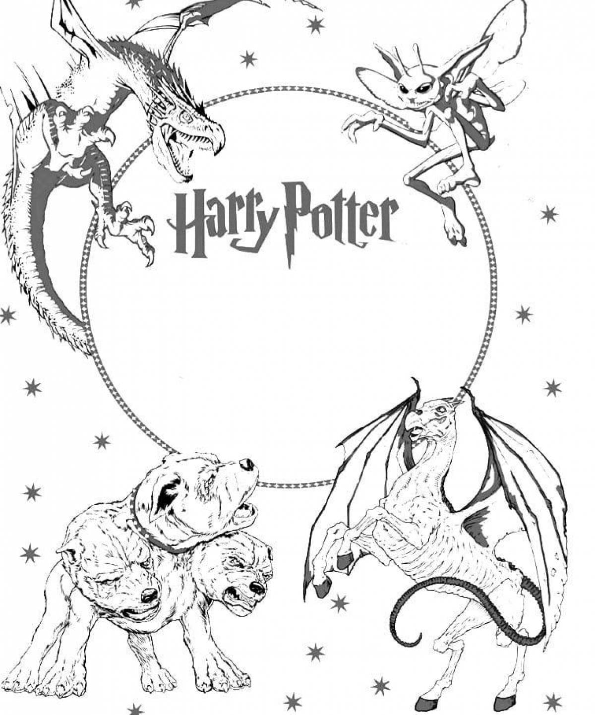 Постер раскраска Гарри Поттер