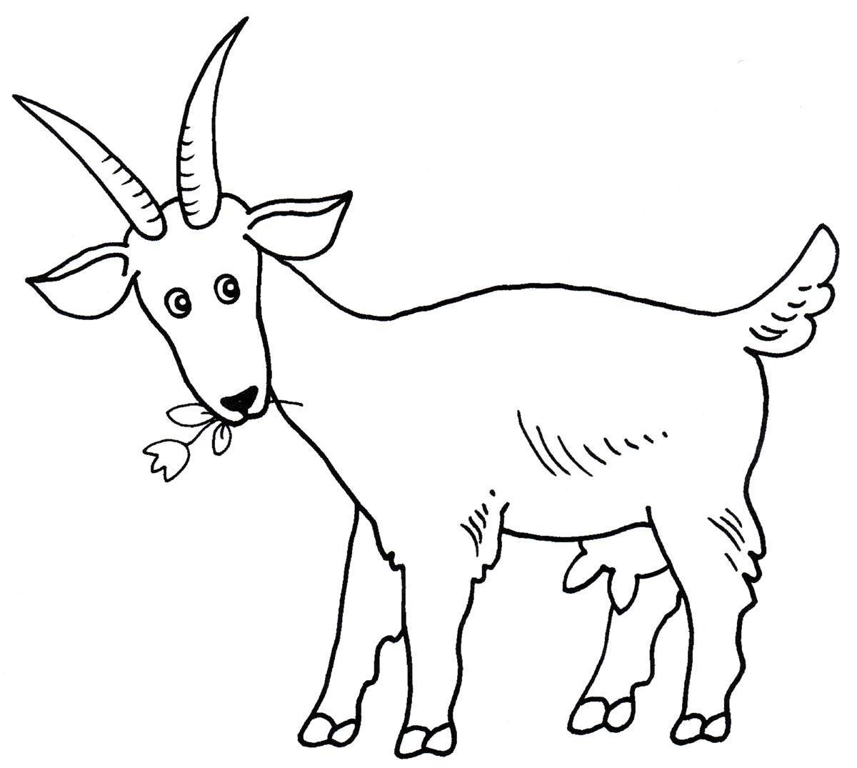 Fun goat coloring book for kids