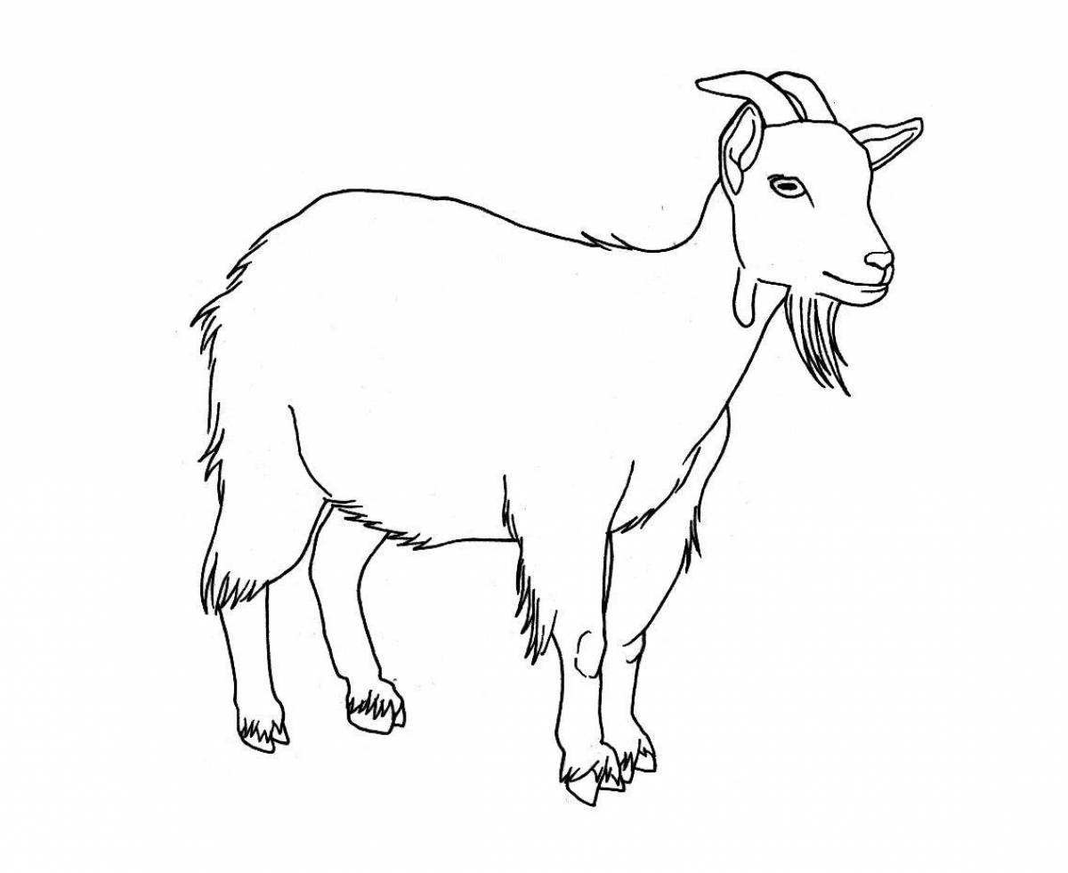 Раскраска очаровательная коза для детей