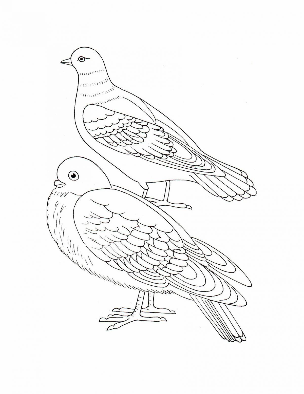 Coloring book cute wintering birds for children 4-5 years old