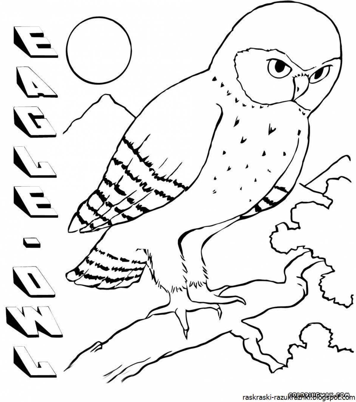 Coloring book luminous wintering birds for children 4-5 years old
