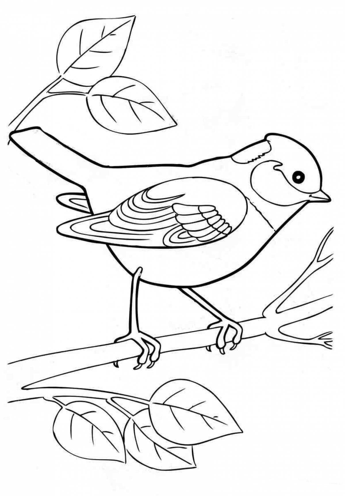 Coloring pages of wintering birds for 4-5 year olds