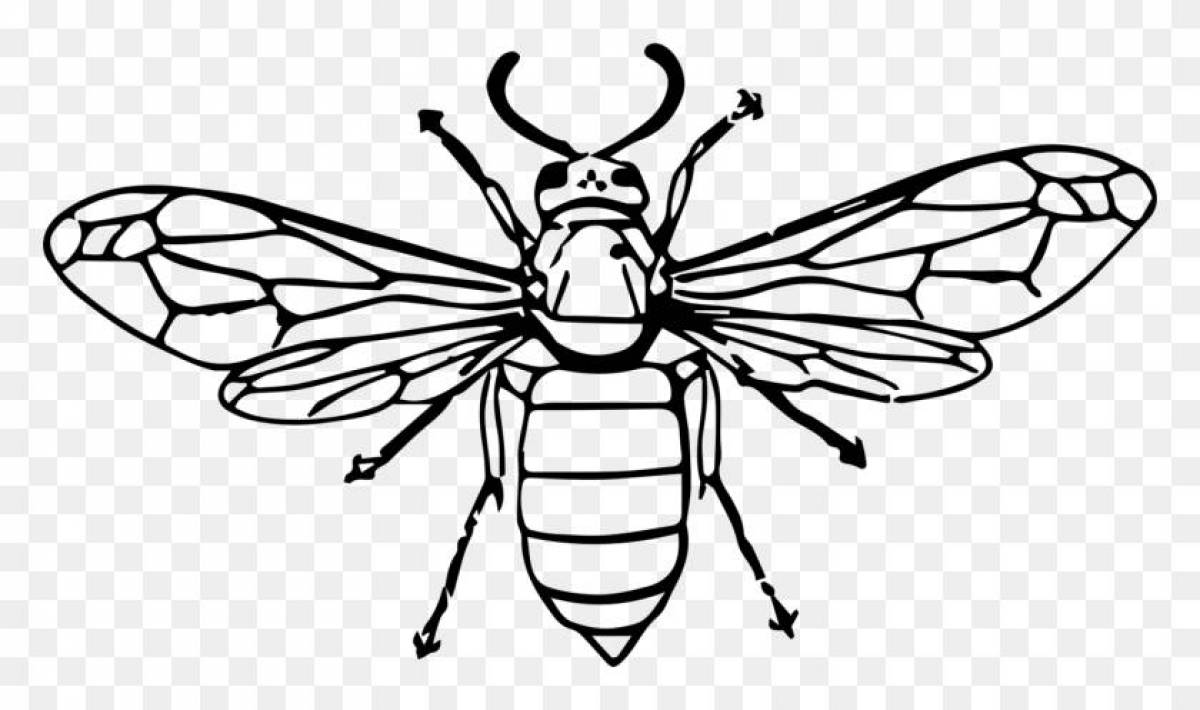 Fabulous wasp coloring page