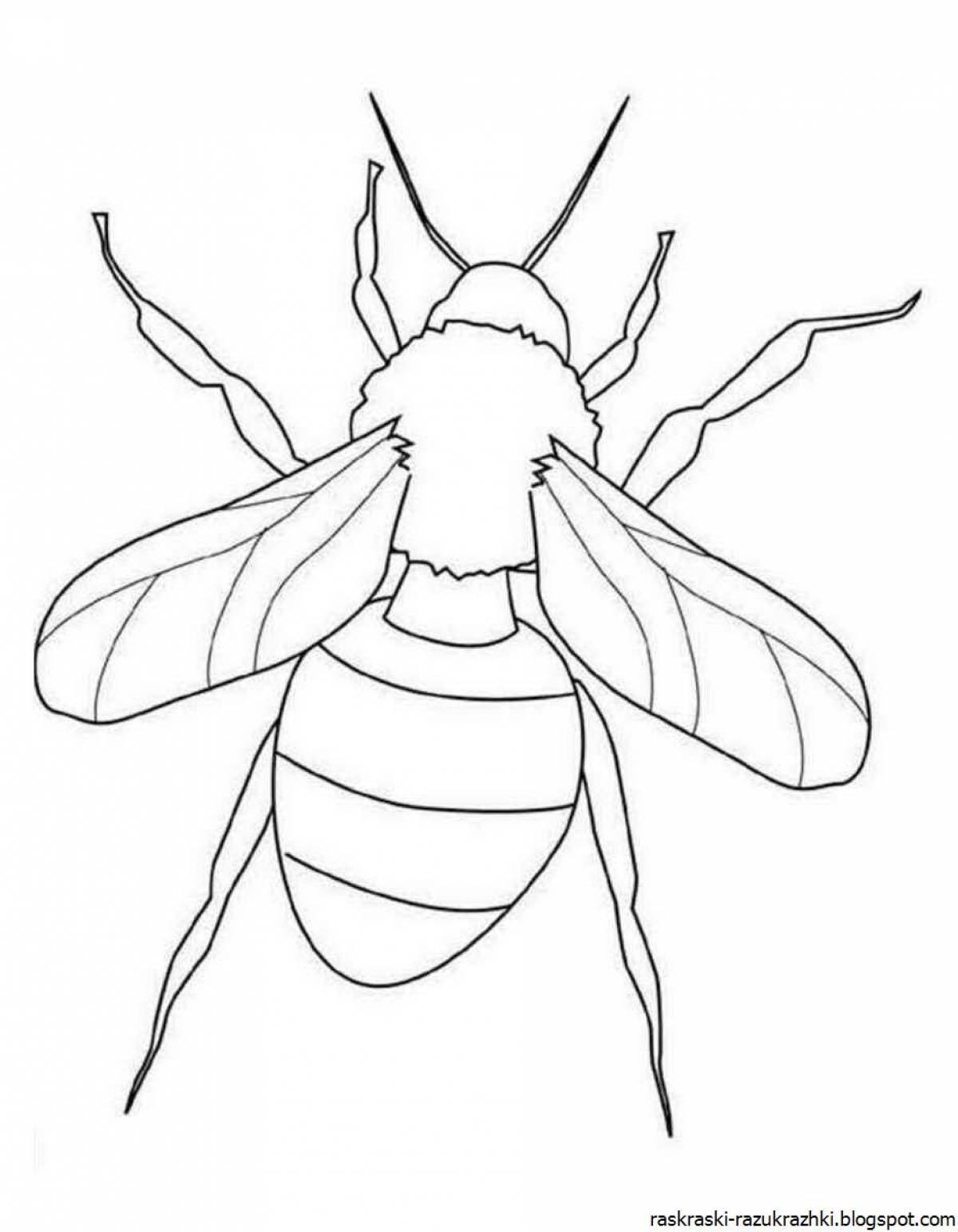 Gorgeous wasp coloring page