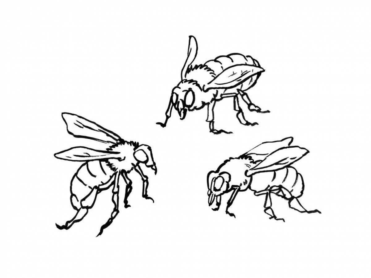 Amazing wasp coloring page