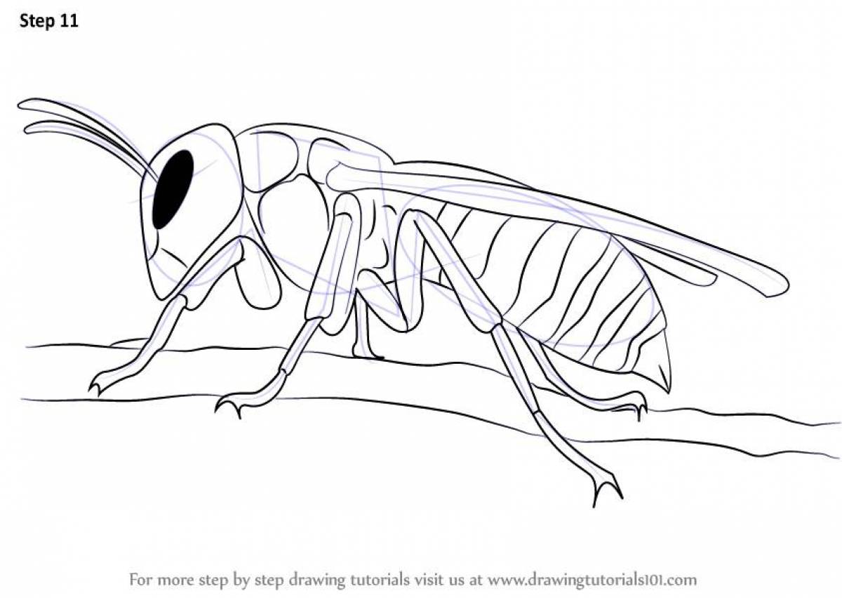 Awesome wasp coloring page
