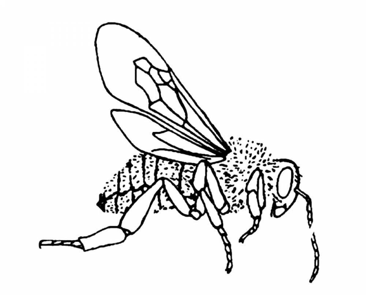 Adorable wasp coloring page