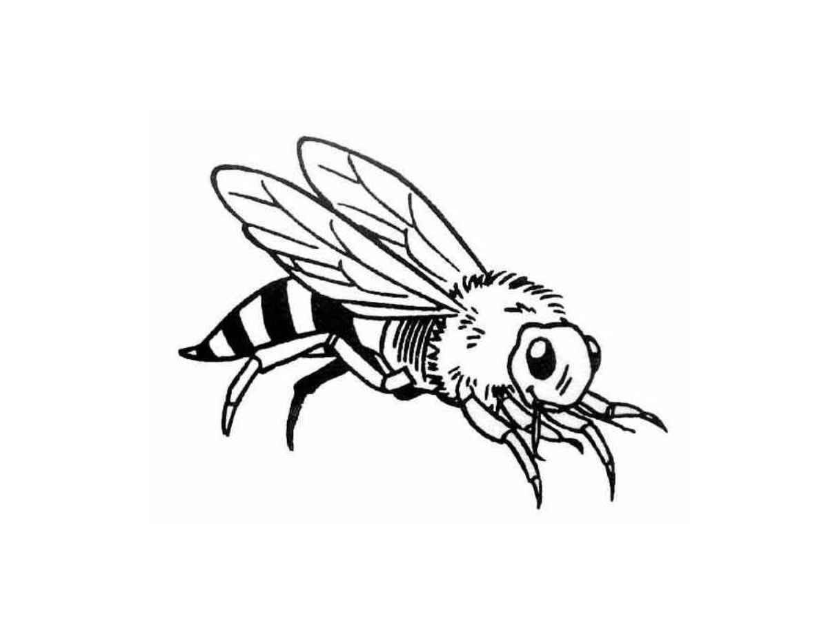 Анимированная страница раскраски осы
