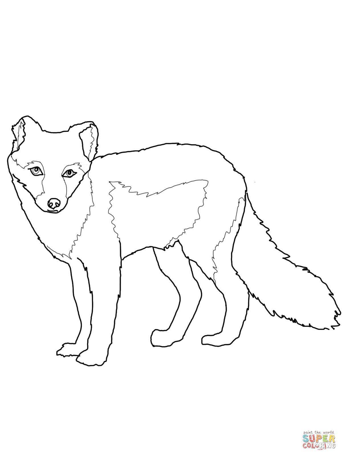 Coloring book fluffy fox