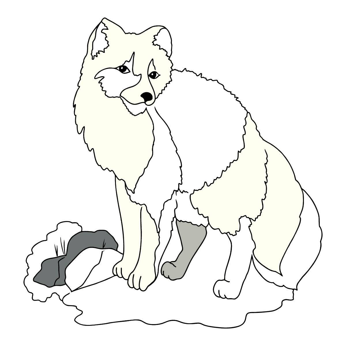 Colorful fox coloring page