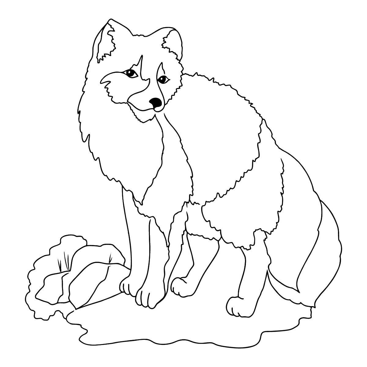 Animated fox coloring page