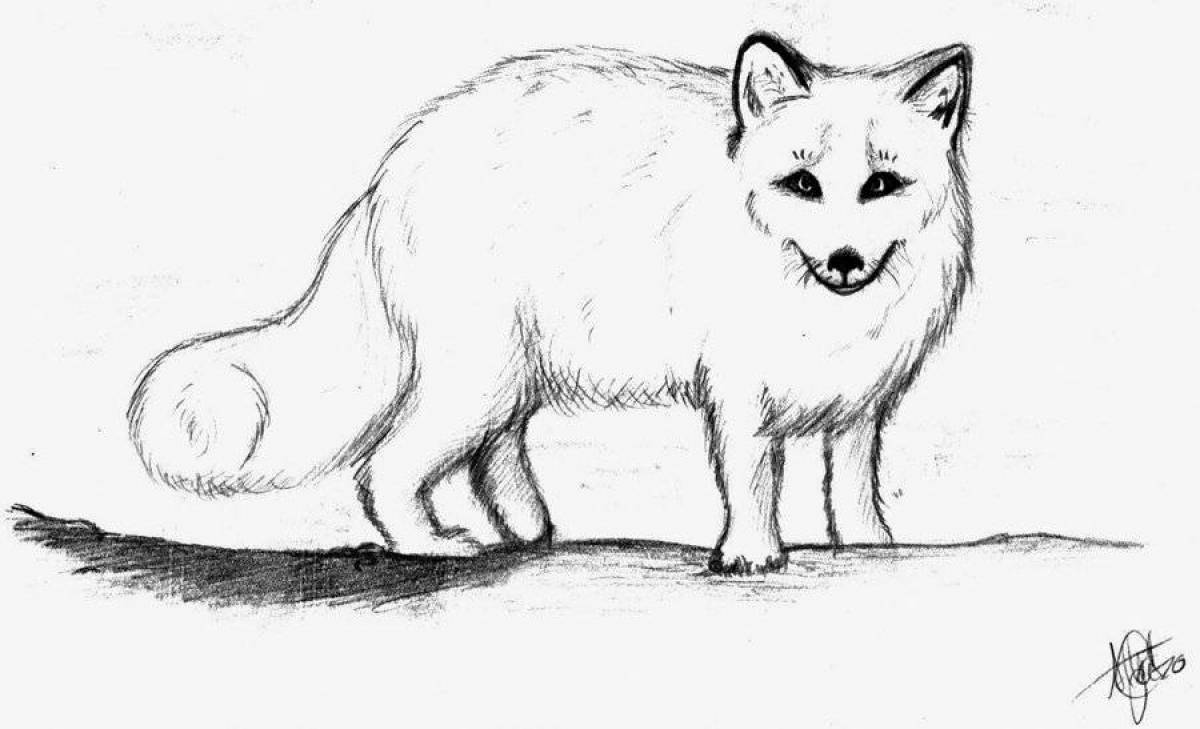 Sweet fox coloring page