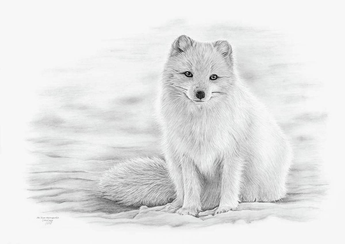 Calm fox coloring page