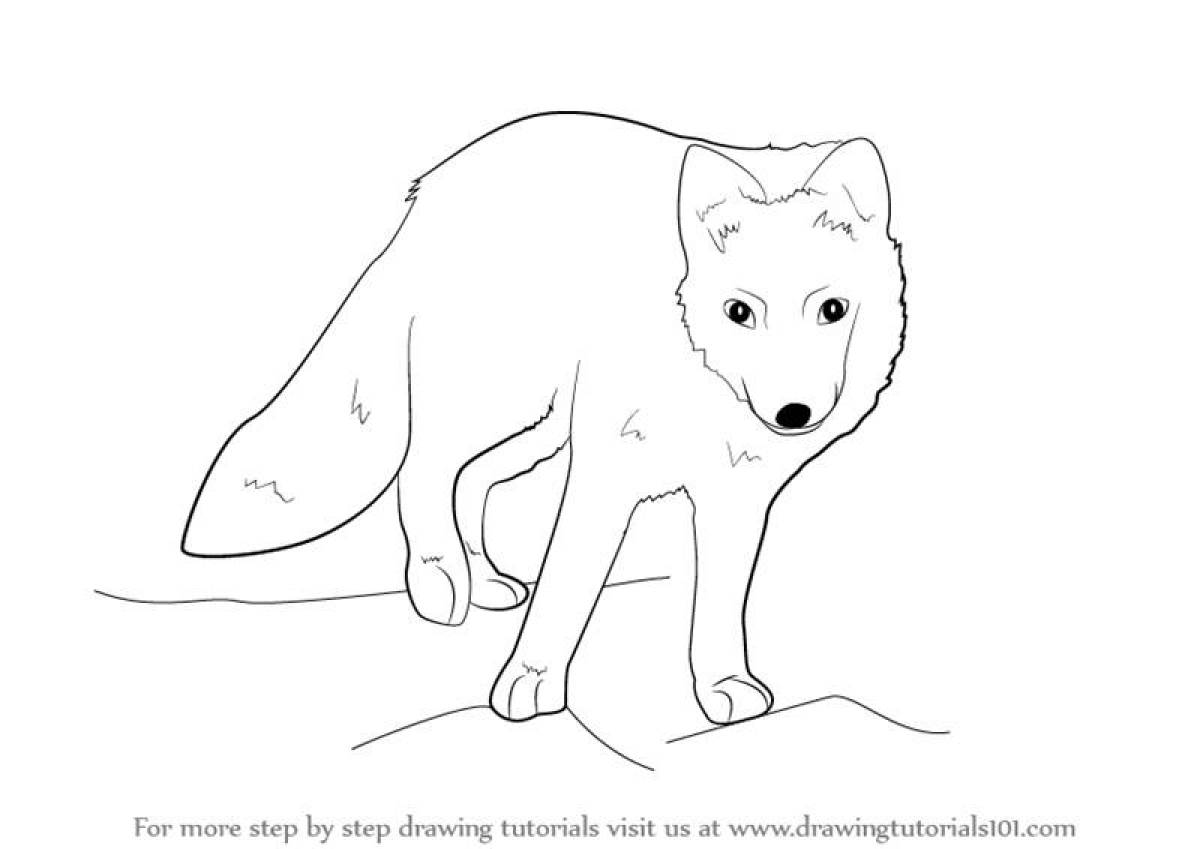 Coloring book magnificent arctic fox