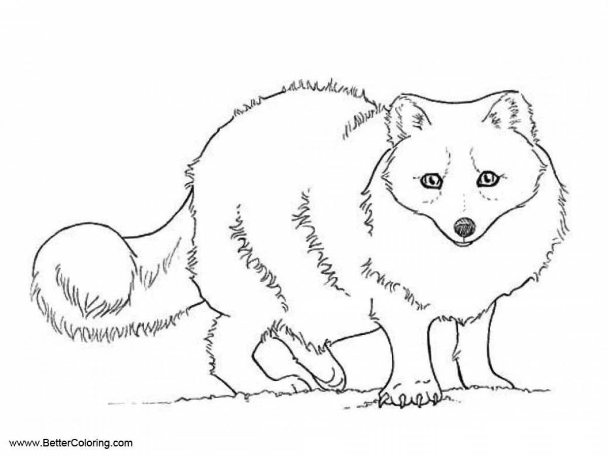 Arctic fox #1