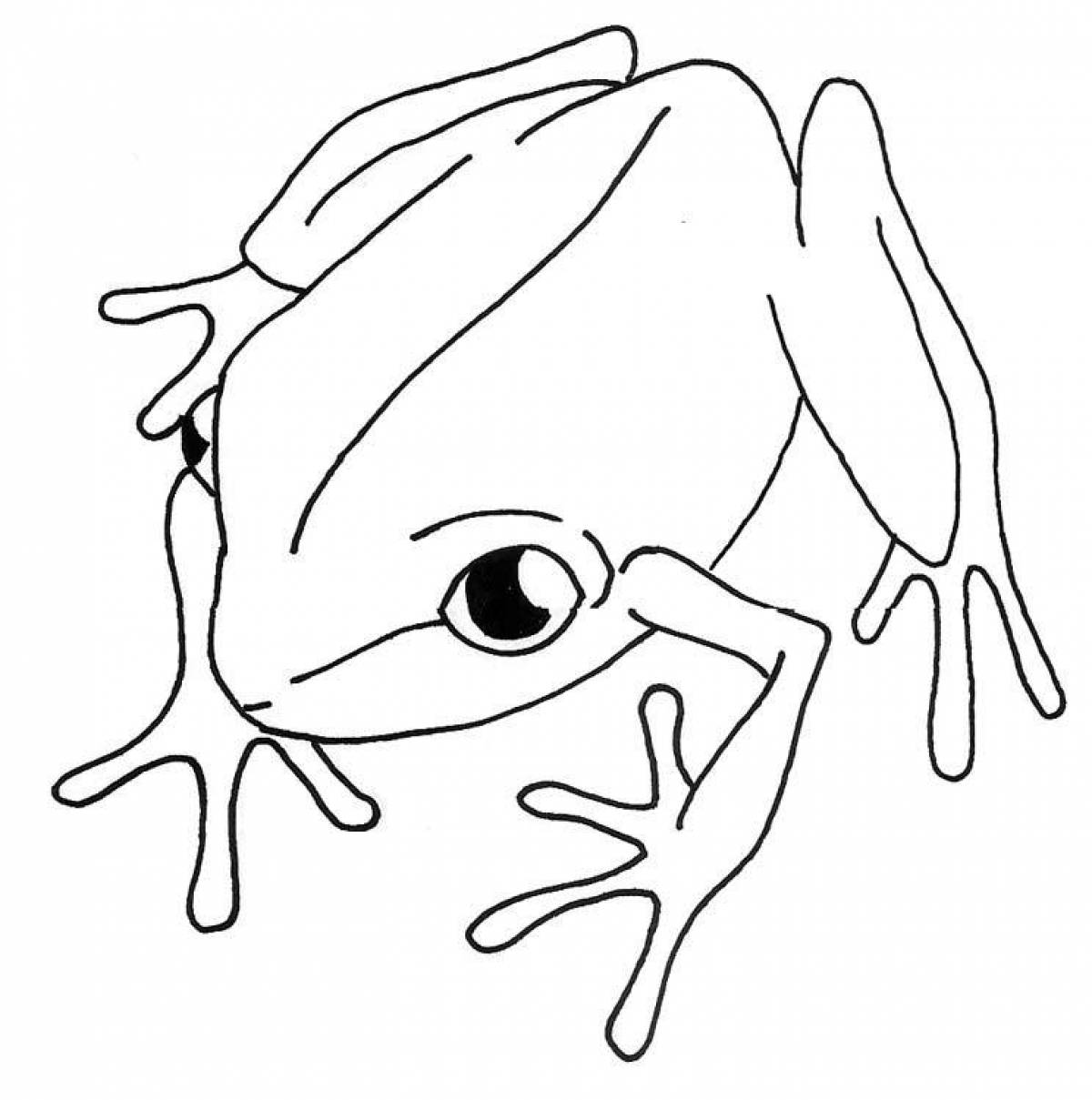 Анимированная раскраска лягушка