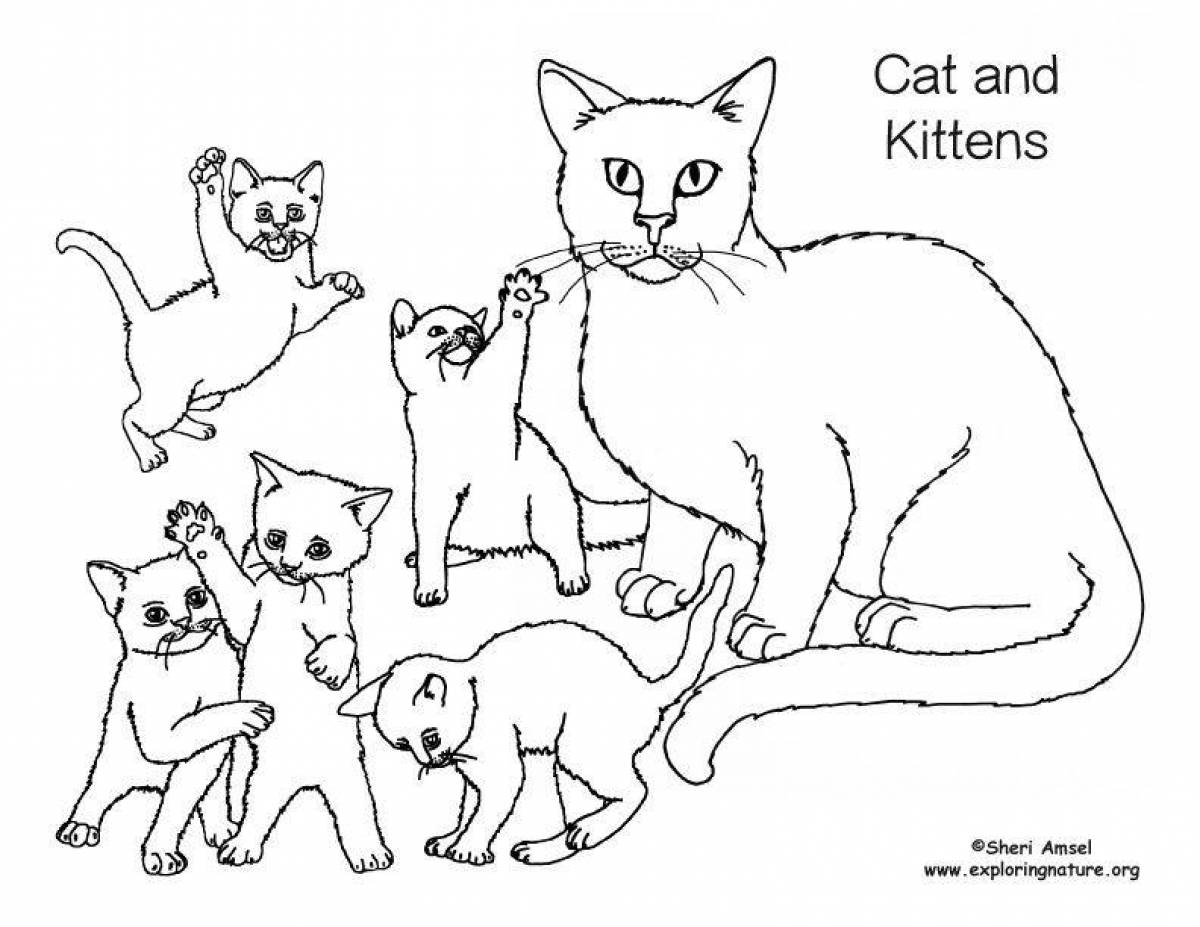 Семья кошек раскраска для детей