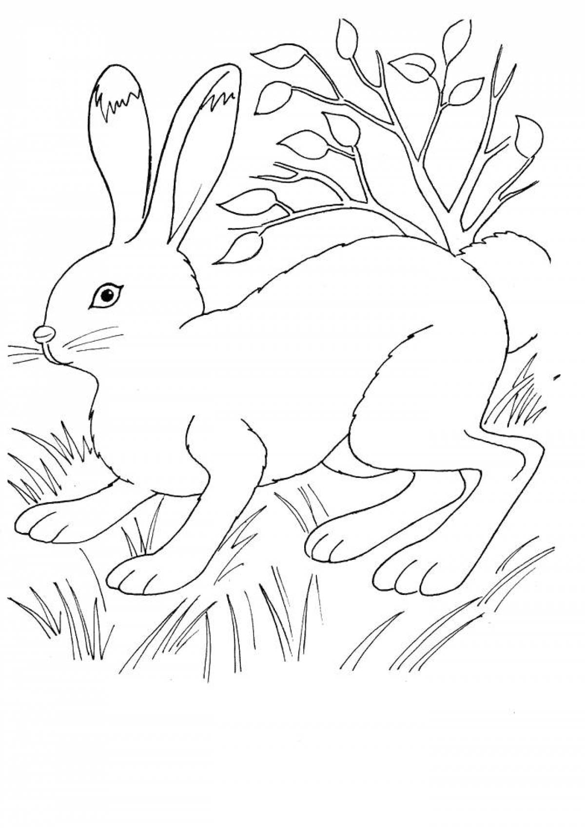 Fancy coloring hare for kids