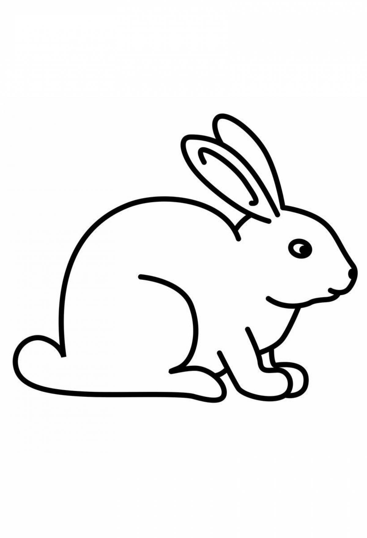 Animated coloring hare picture for kids