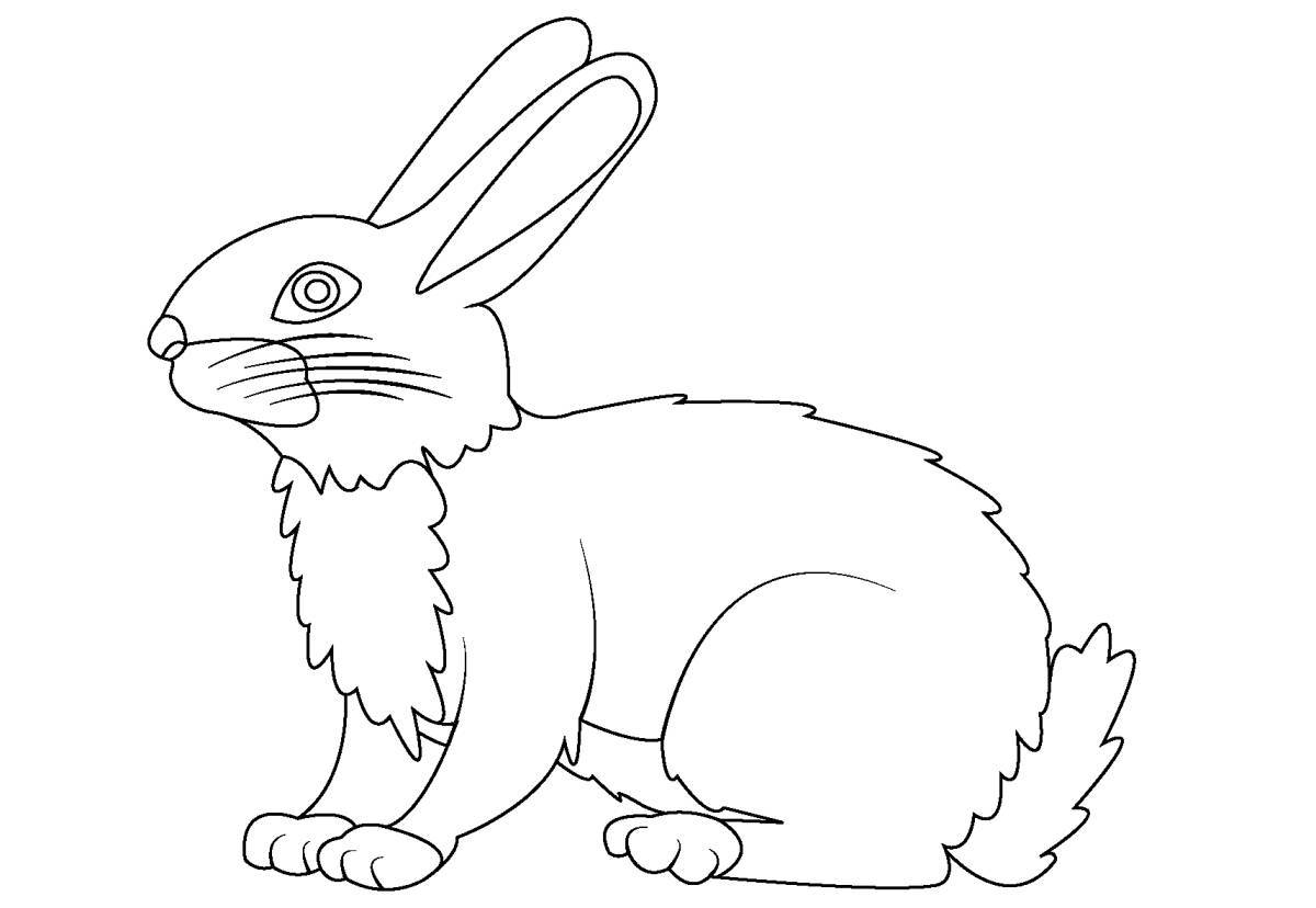 Luminous hare coloring picture for kids