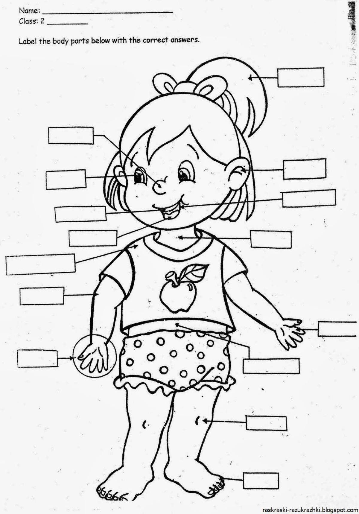Colorful human body coloring page for juniors