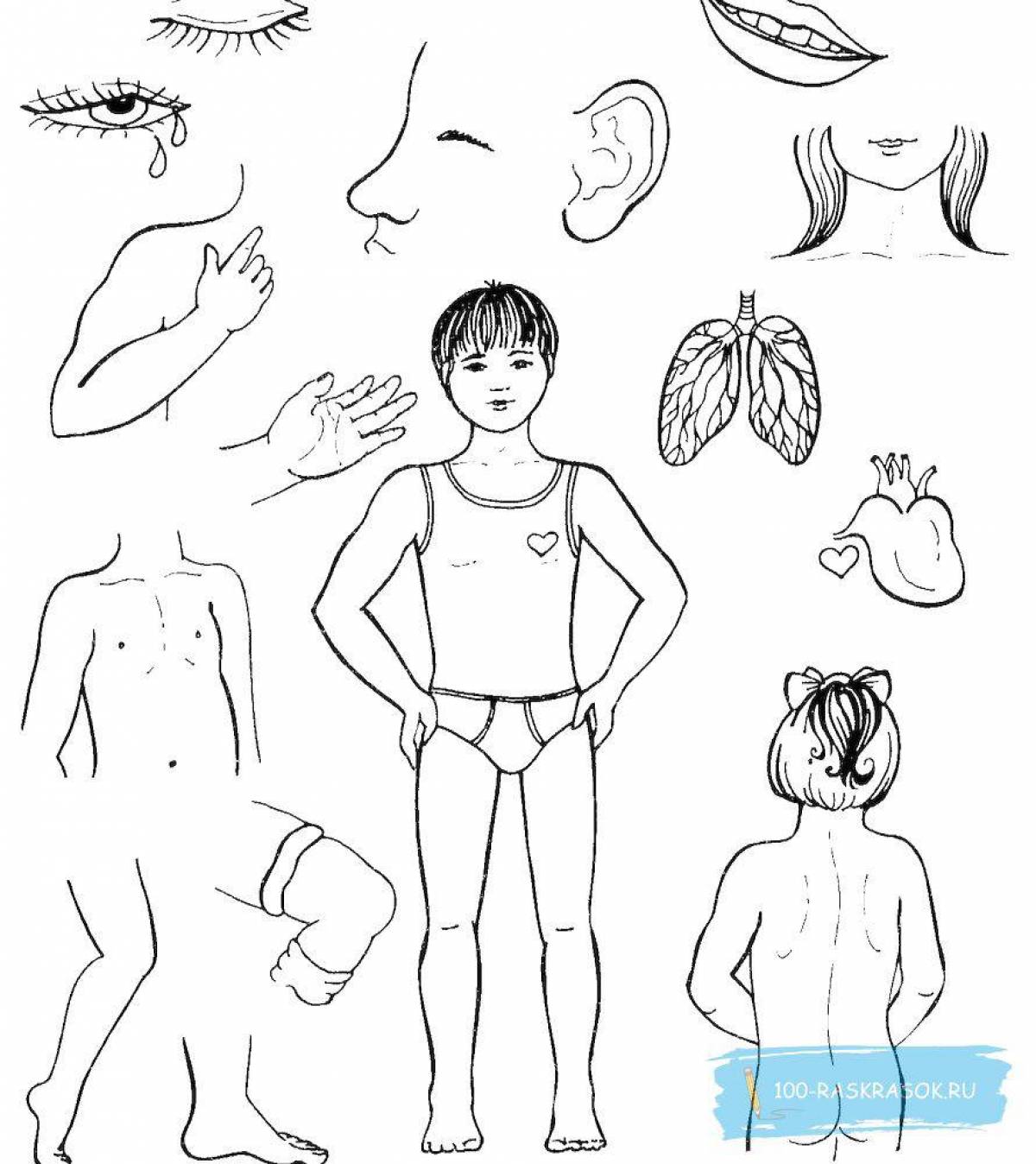 Human body for kids #15