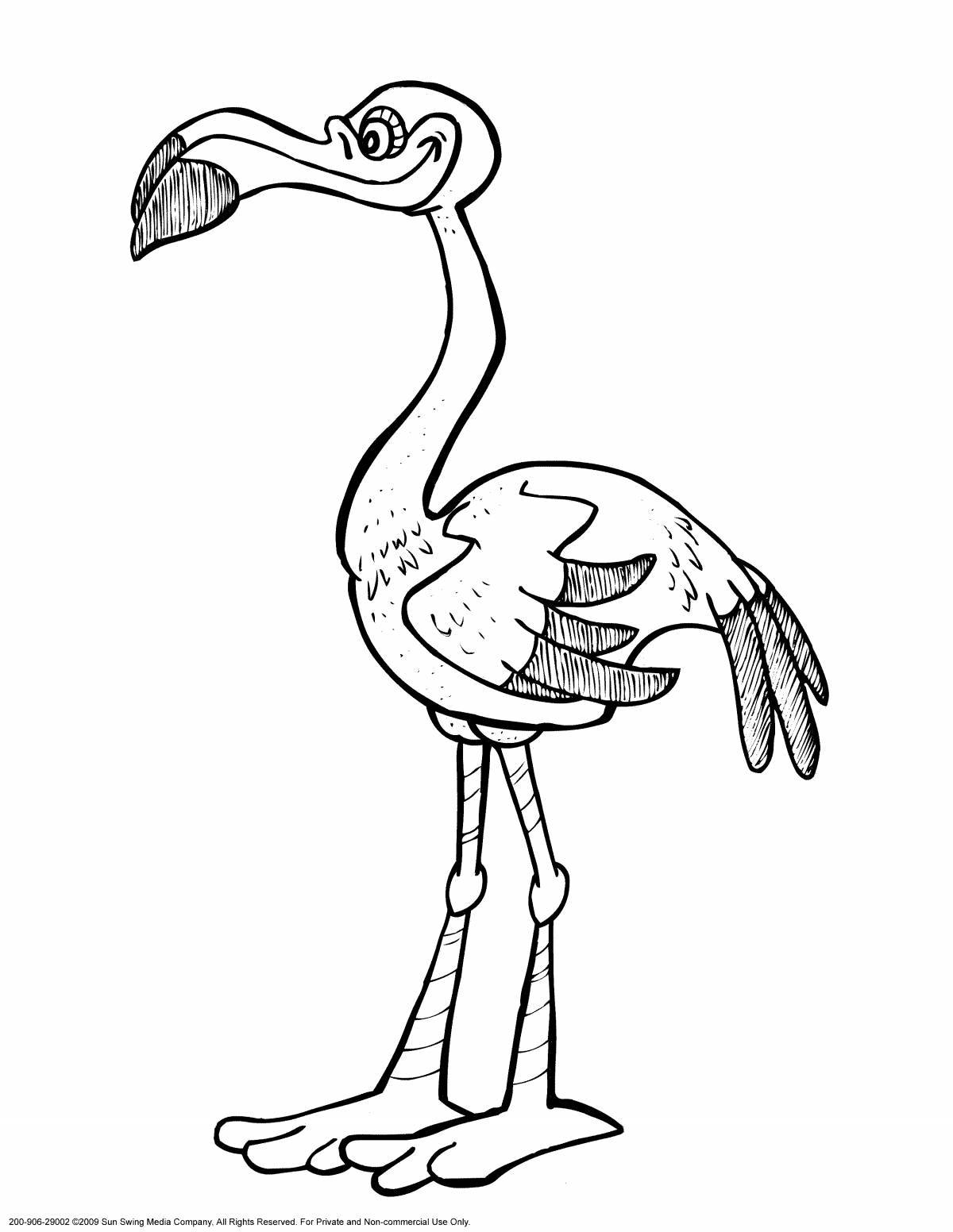 Coloring pages with playful flamingos for kids