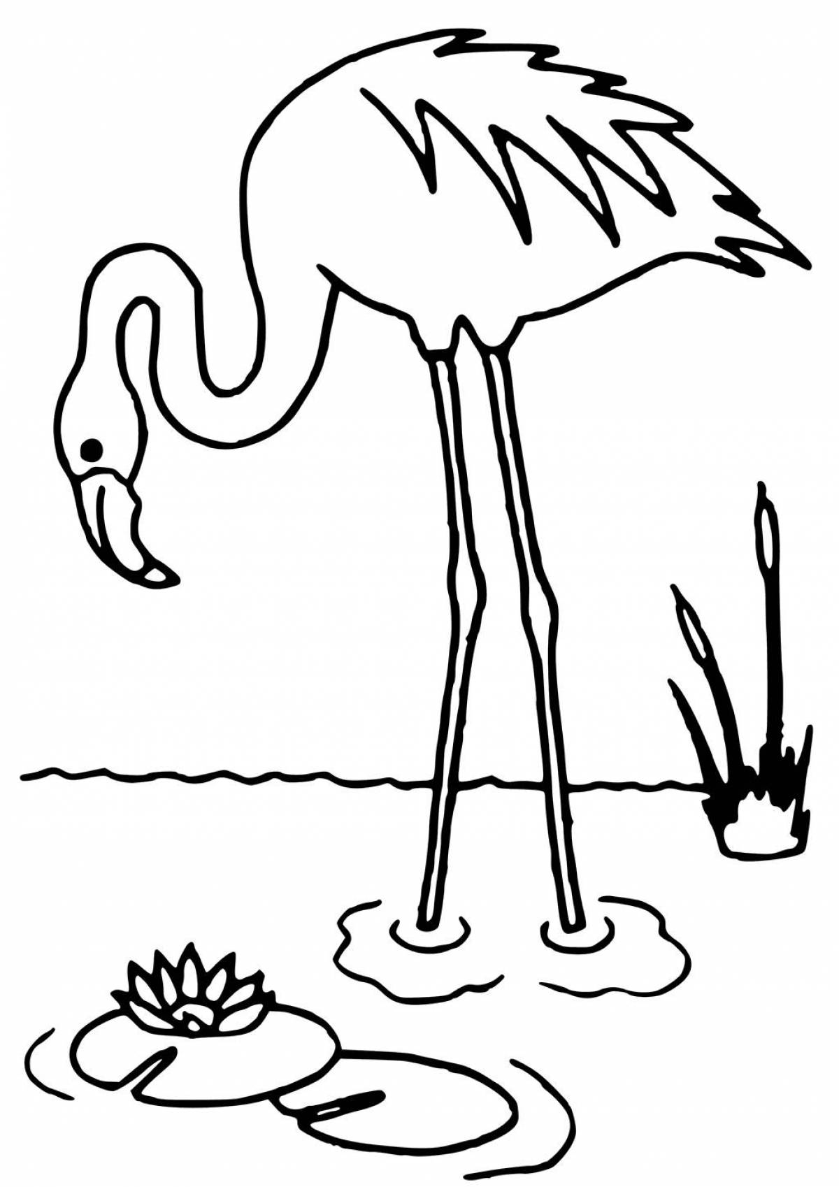 Fun flamingo coloring pages for kids