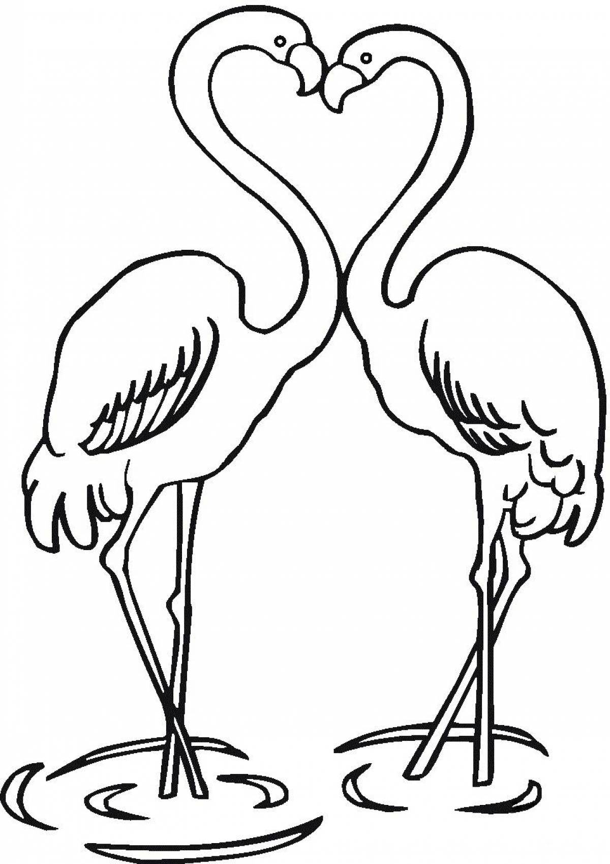 Раскраска экзотических фламинго для детей