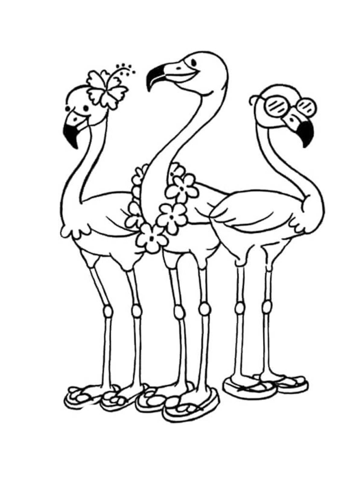 Величественные фламинго раскраски для детей