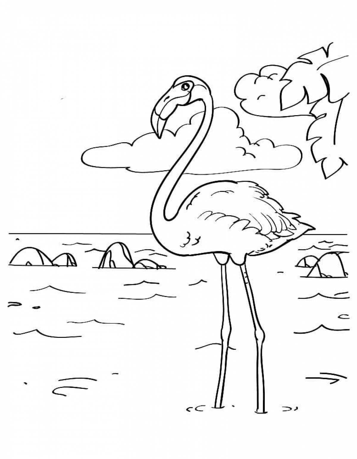 Fabulous flamingo coloring pages for kids