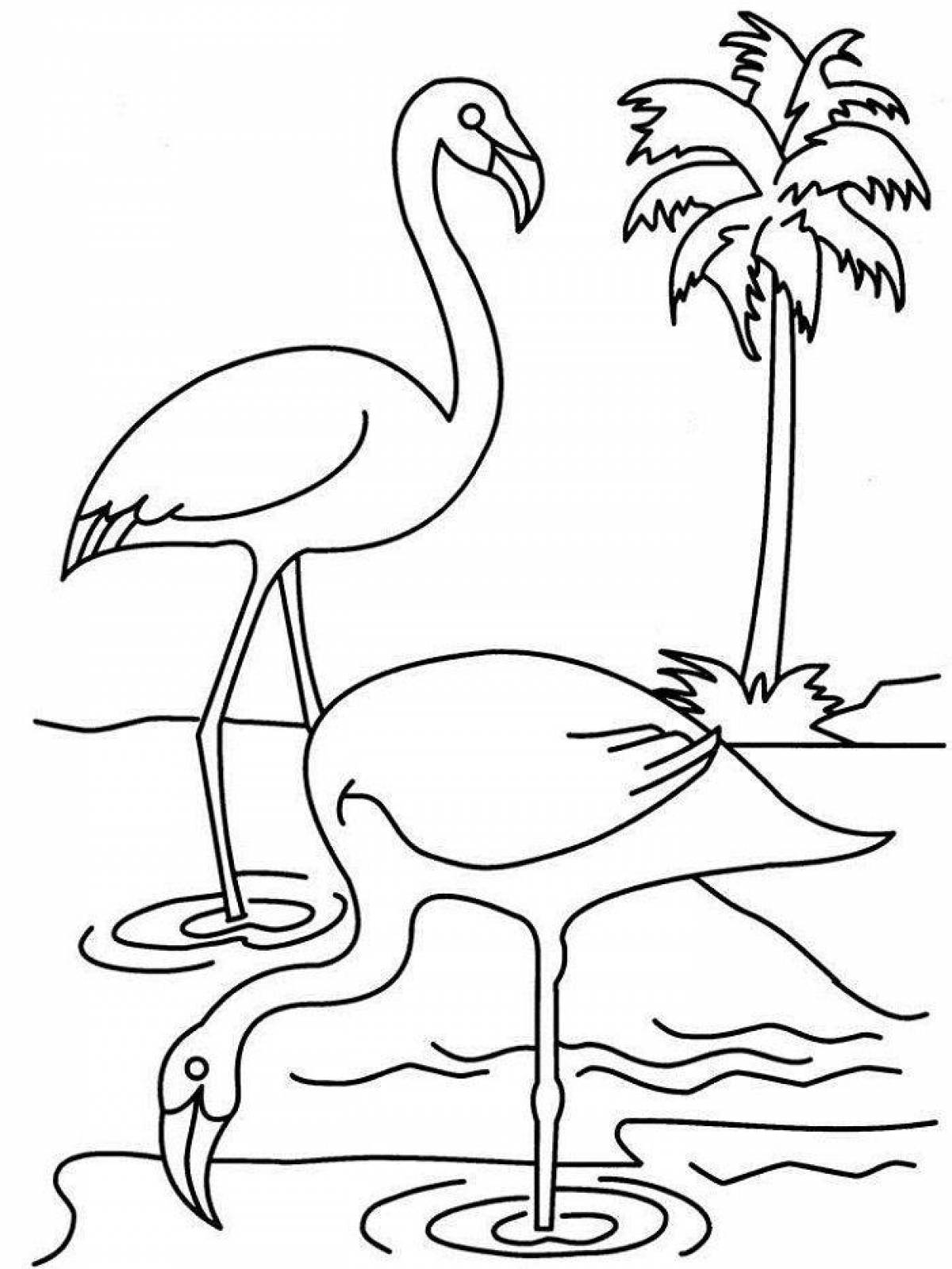 Фламинго детская раскраска