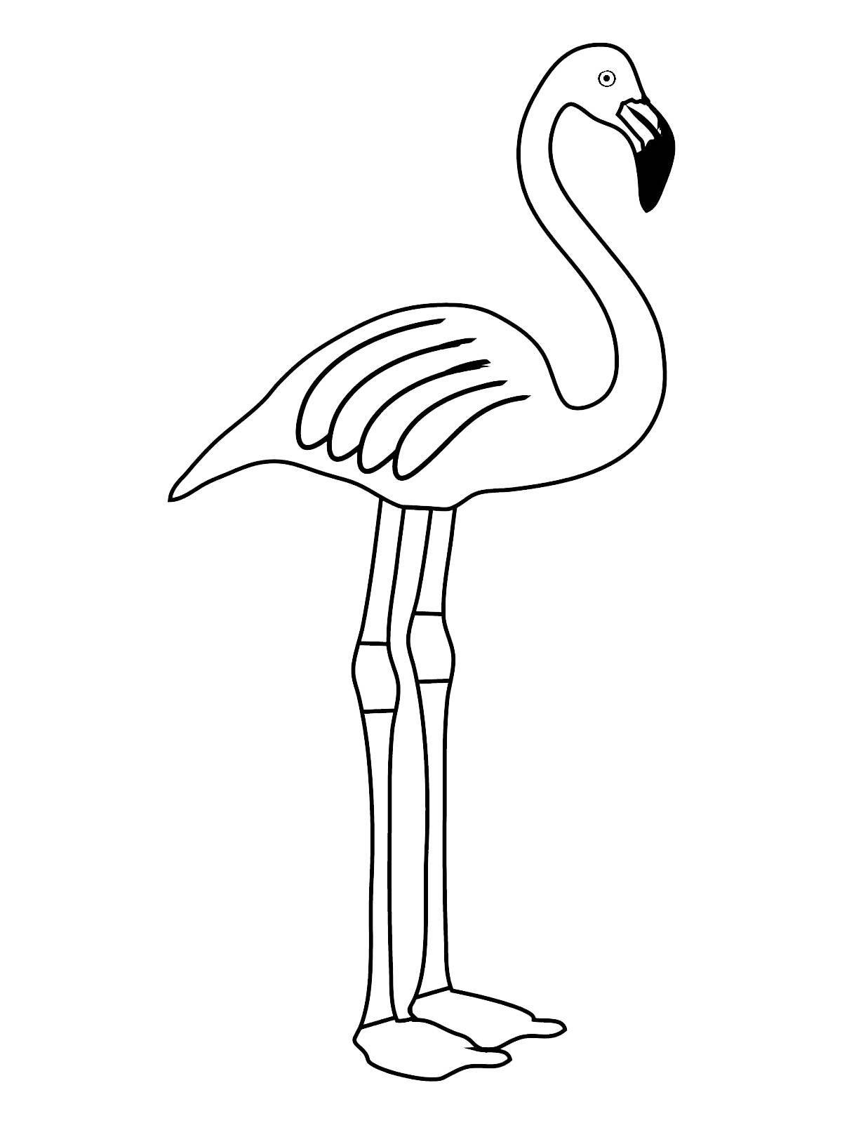 Animated flamingo coloring pages for kids
