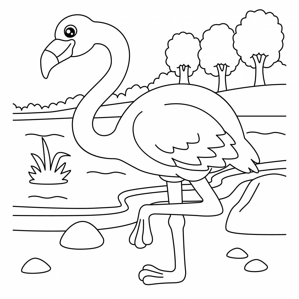 Раскраска фламинго для детей