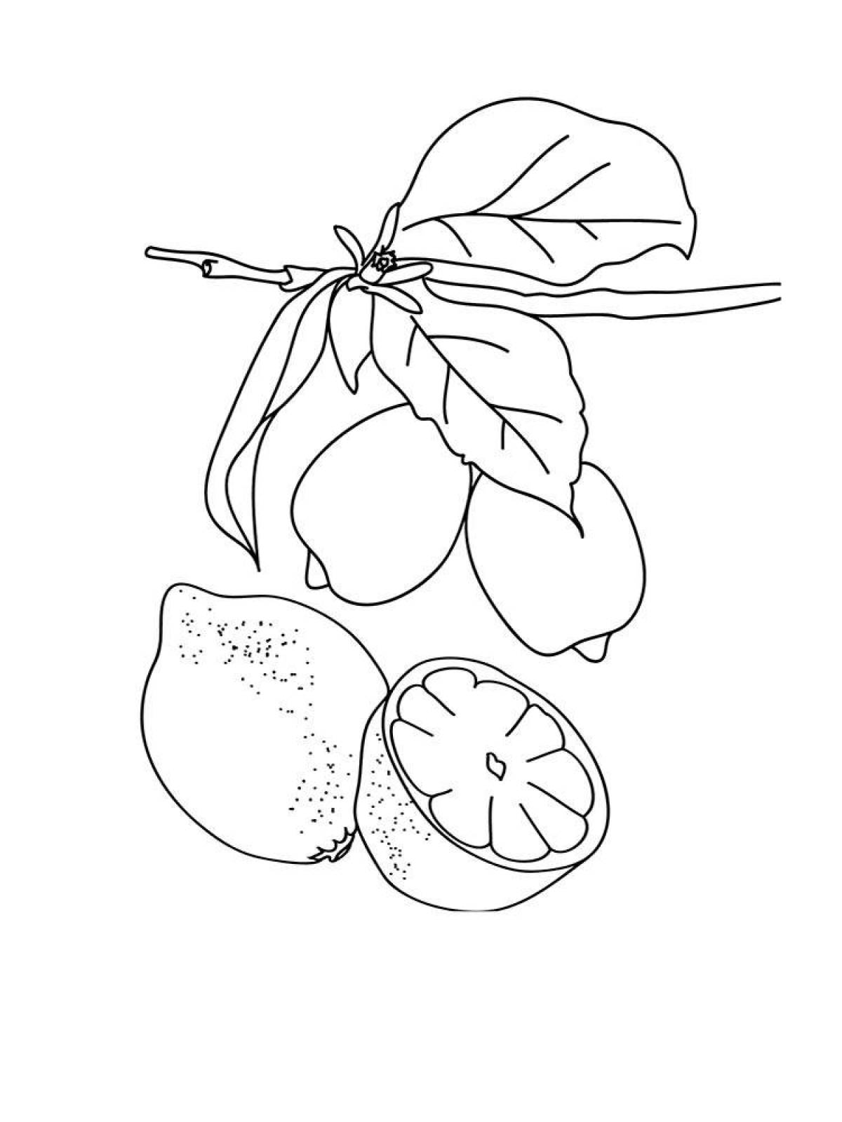 Happy lemon coloring pages for kids