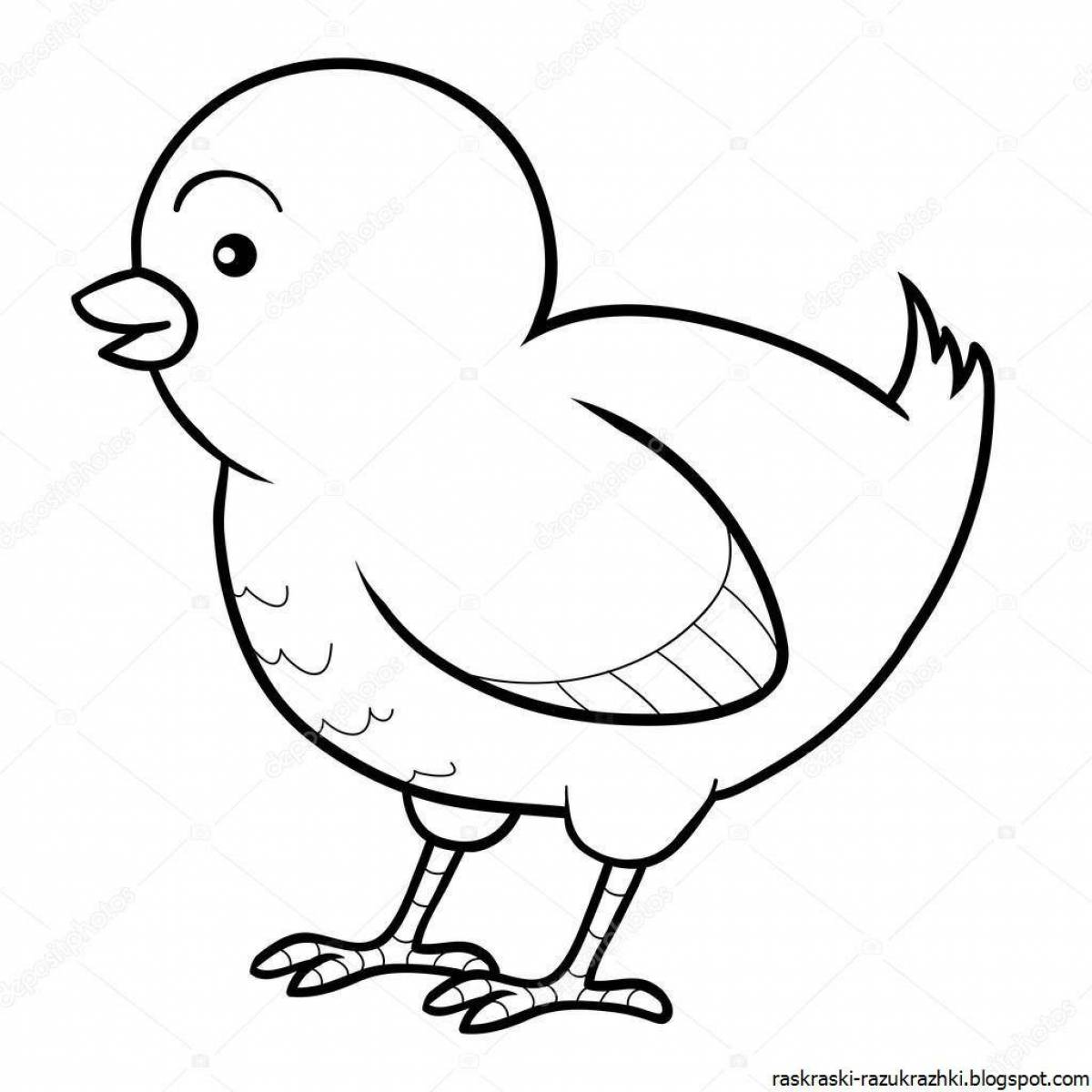 Colorful chicken coloring page for 2-3 year olds
