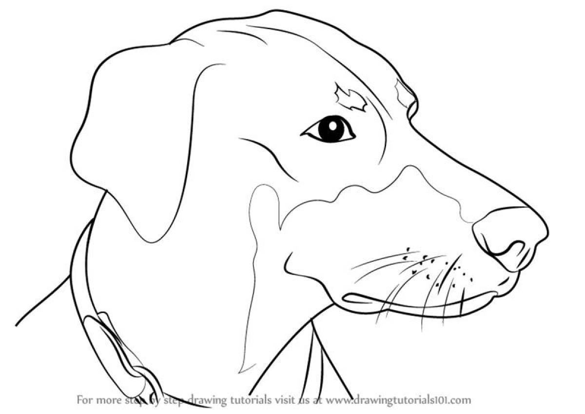 Картина по номерам Собаки породы Доберман HR - раскраска Флюид 40x50 см - цена, фото, описание