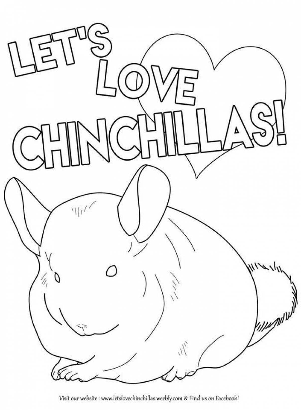 Animated chinchilla coloring page