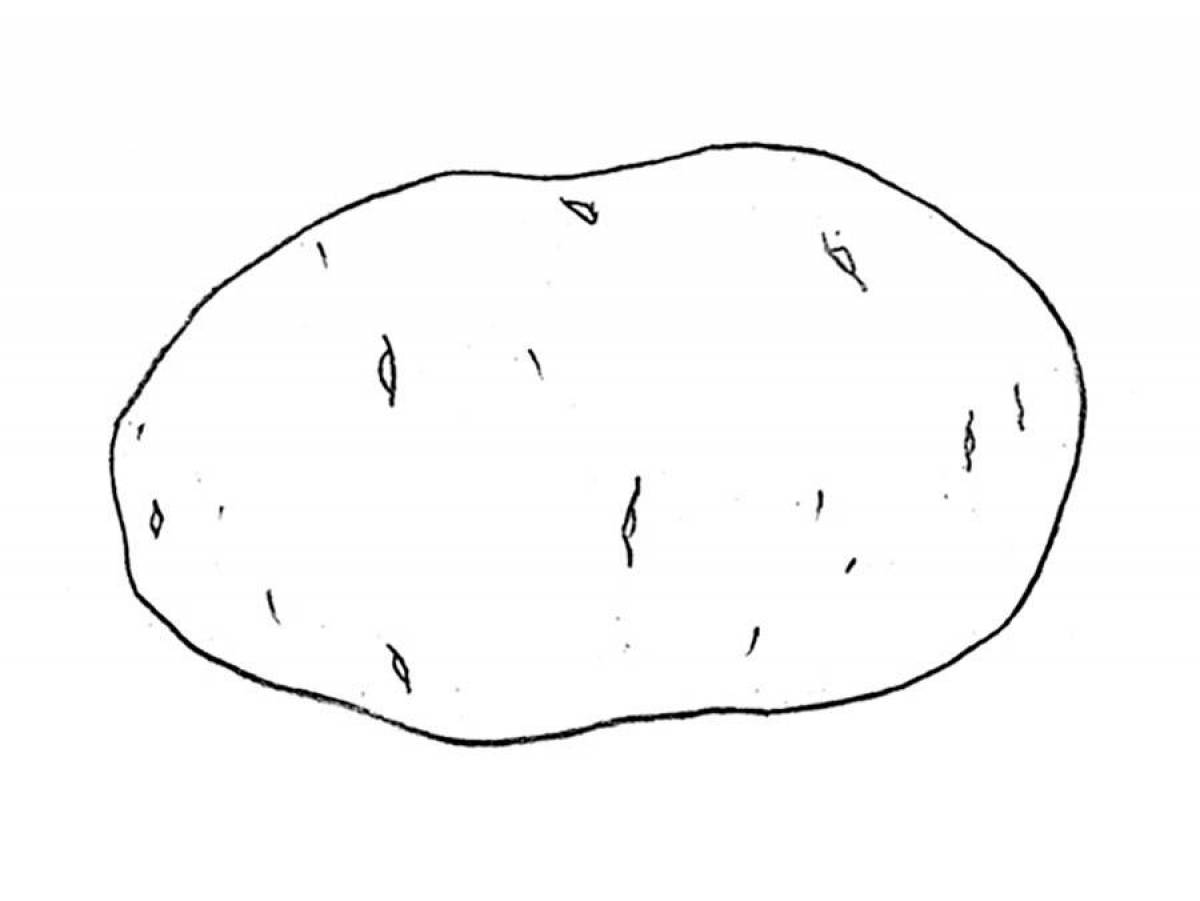 Potato #6