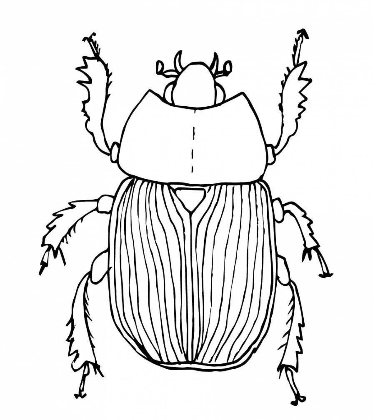 Adorable beetle coloring book for kids