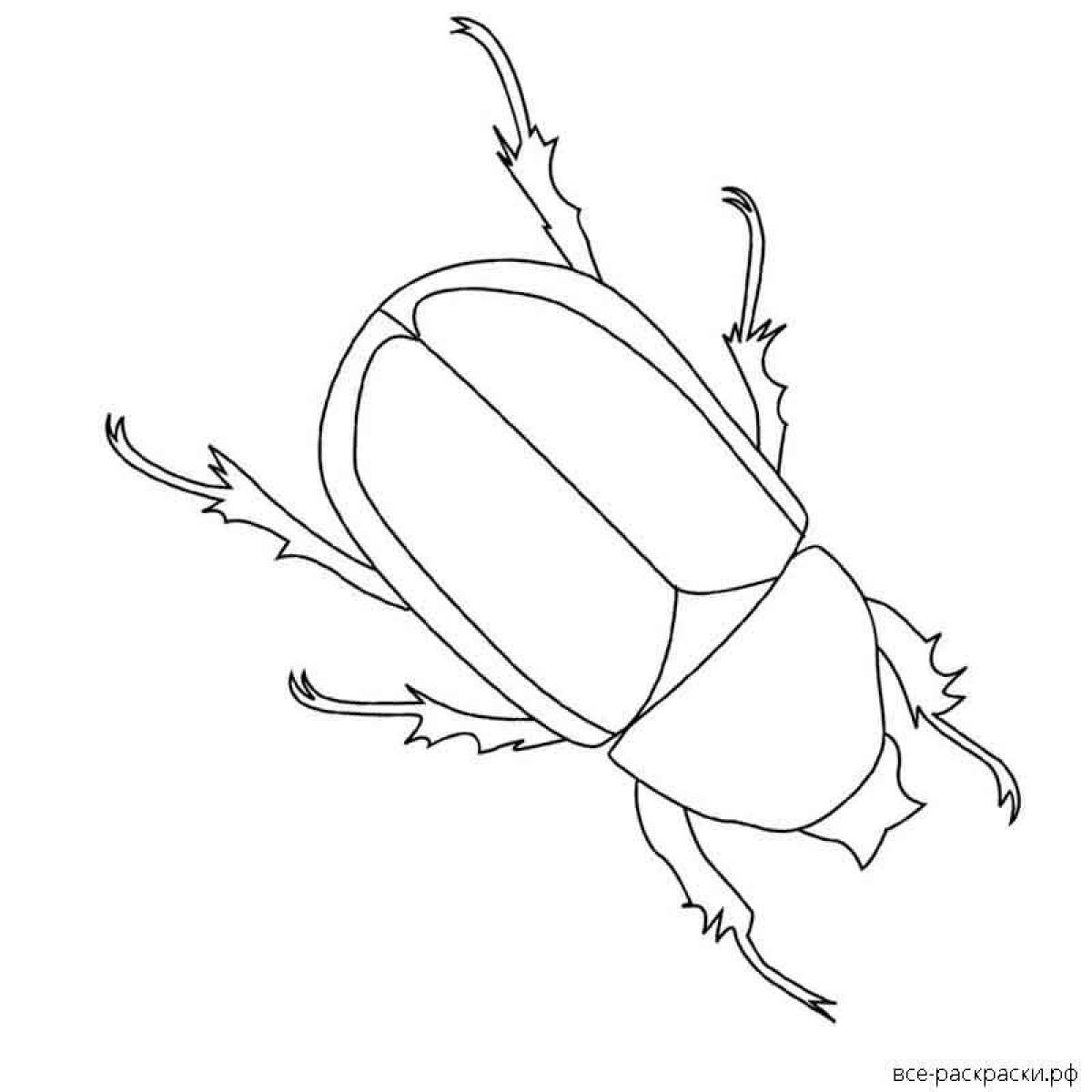 Exquisite beetle coloring book for kids