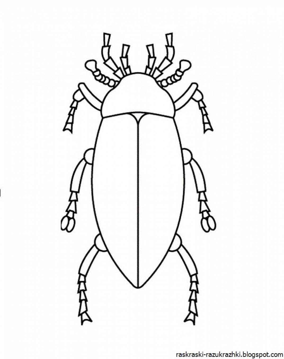 Attractive beetle coloring book for kids