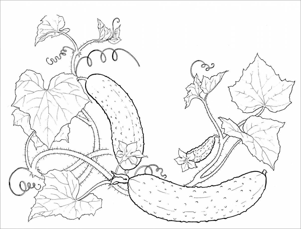 Colorful cucumber coloring pages for kids